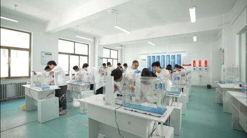 技能啟航未來(lái)，職教鑄就夢(mèng)想——蘭州資源環(huán)境職業(yè)技術(shù)大學(xué)旅游信息咨詢服務(wù)專業(yè)建設(shè)探索